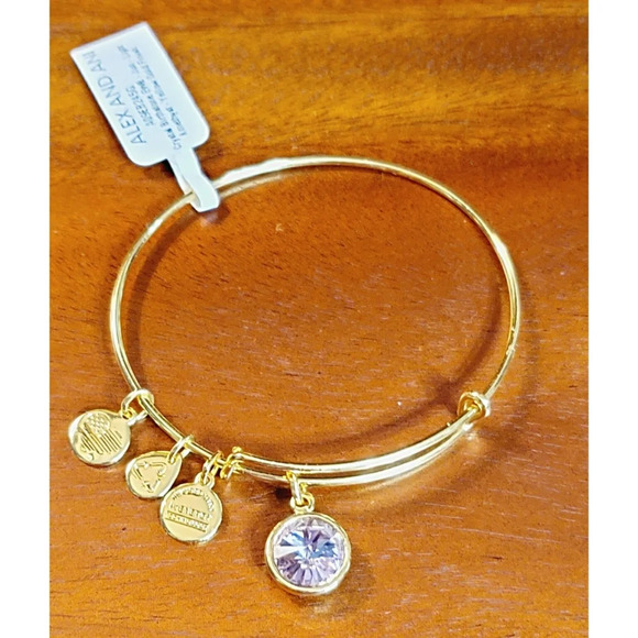 Alex And Ani June Birthstone Bracelet New In Box - Picture 5 of 9